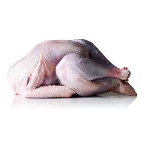 گوشت بوقلمون